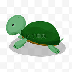 乌龟可爱卡通图片_手绘萌宠乌龟插画