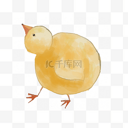 手绘黄色小鸡水彩画png