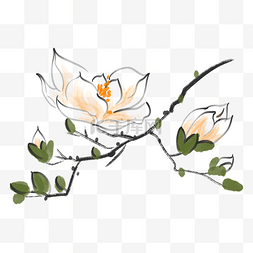 樱花树枝装饰图片_白色的樱花水墨插画