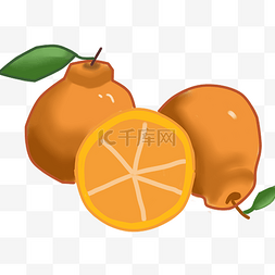 卡通美味橙子插画