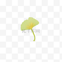 扁平化的叶子图片_一片手绘的绿色银杏叶