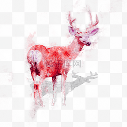 水彩麋鹿插画素材图片_水彩深林麋鹿手绘插画