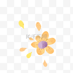 凋零图片_菊花凋零png