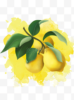 柠檬树上图片_树上新鲜水果柠檬