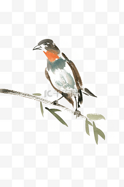 枝头的鸟水彩画PNG免抠素材