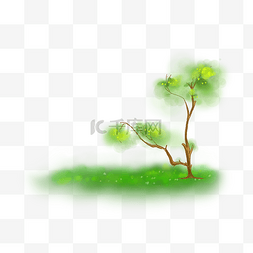 手绘春天绿色大树.