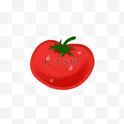 绿色清新植物生长图片_番茄维生素