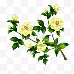 夏日清新手绘植物图片_春天花开黄色的花手绘装饰图案