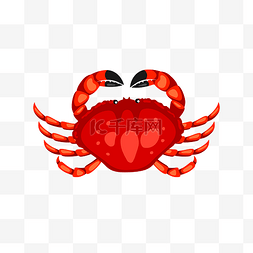手绘红色的螃蟹插画