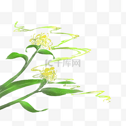 淡绿色丝带图片_古风素材绿色金黄色野姜花