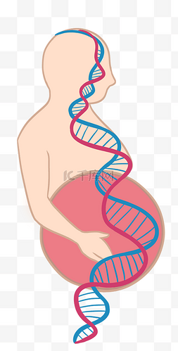 双螺旋链图片_手绘人体DNA基因链图形