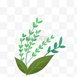手绘插画植物边框图片_绿色树叶植物