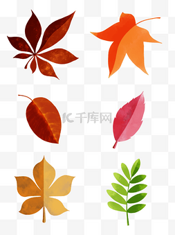 秋叶元素手绘插画分层树叶素材
