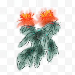 水墨两朵花朵插画