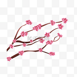 春季绽放图片_春季粉色的樱花插画