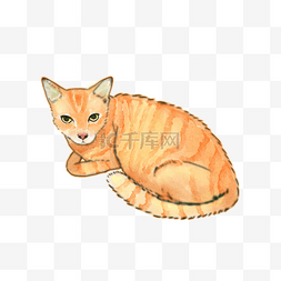 猫扁平插画图片_手绘水彩绘本卡通猫咪橘猫png