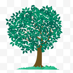 树干树枝卡通图片_矢量卡通常绿大树