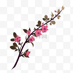 一枝盛开的樱花插图