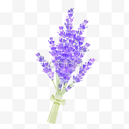 花枝条图片_紫色拟物通用花束装饰图案