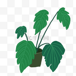 客厅植物盆栽图片_卡通手绘绿植大叶子植物发财树
