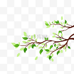 树枝叶子装饰图片_绿叶树枝