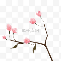 手绘粉色的花枝插画