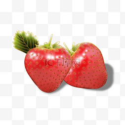 红色新鲜的大草莓