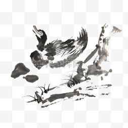 中国风手绘鸭子水墨