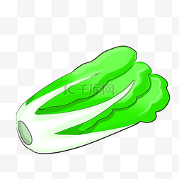 绿色的白菜 