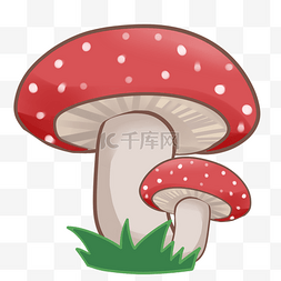 卡通蔬菜肉图片_白色蘑菇圆菇肉菌