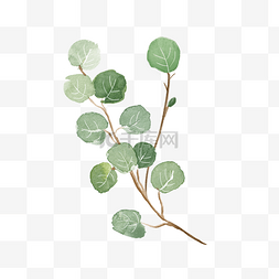 日系小清新素材图片_水彩植物绿叶手绘风小清新