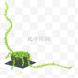 创意绿色植物图片_毕业季学士帽绿色植物花边