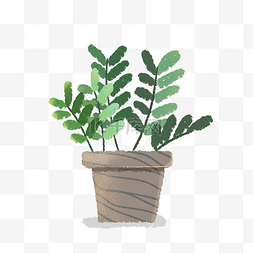 绿色植物手绘插画
