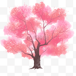 一棵粉色大树图片_春季观景大树插画
