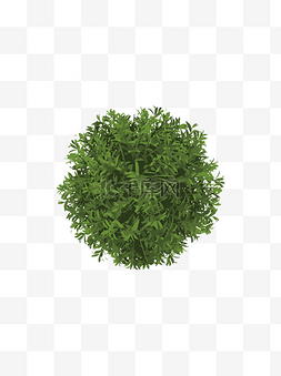 扁平手绘风绿色植物低矮灌木元素