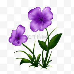 大植物叶子图片_紫色花植物