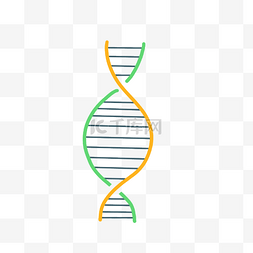 黄色绿色化学分子