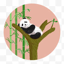 树林大熊猫