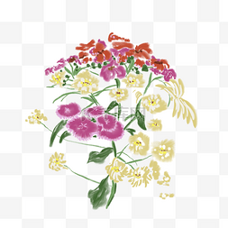 彩色花束新鲜花朵绘画