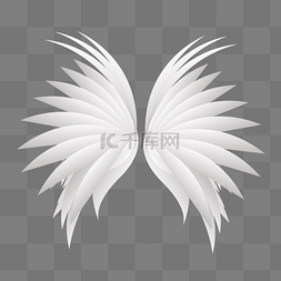 洁白的翅膀图片_洁白的漂亮翅膀插画