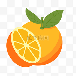 水果蔬菜横切面图片_带叶子的橙子插画