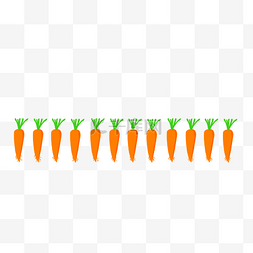 橙色胡萝卜分割线
