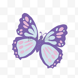 唯美的蝴蝶装饰图片_紫色的蝴蝶手绘插画