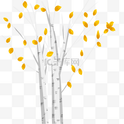 黄色树木图片_秋季白桦树黄色树叶白色树枝透明