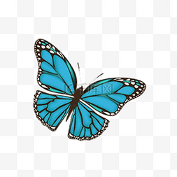蝴蝶免抠图素材图片_卡通漂亮的蝴蝶免抠图