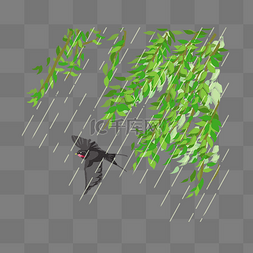 黑色燕子图片_春雨植物和燕子插画