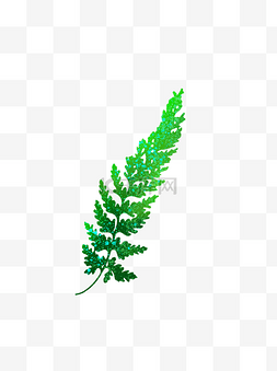 渐变绿色渲染图片_绿色蕨类叶子渐变渲染可商用元素