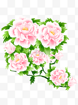 植物花卉海报图片_商用手绘花牡丹花富贵花插画植物