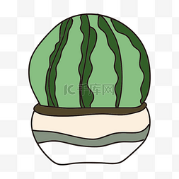 西瓜盆栽 