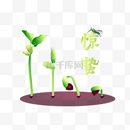 惊蛰植物昆虫插画